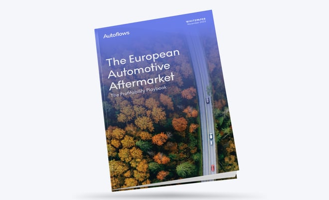 The European Automotive Market